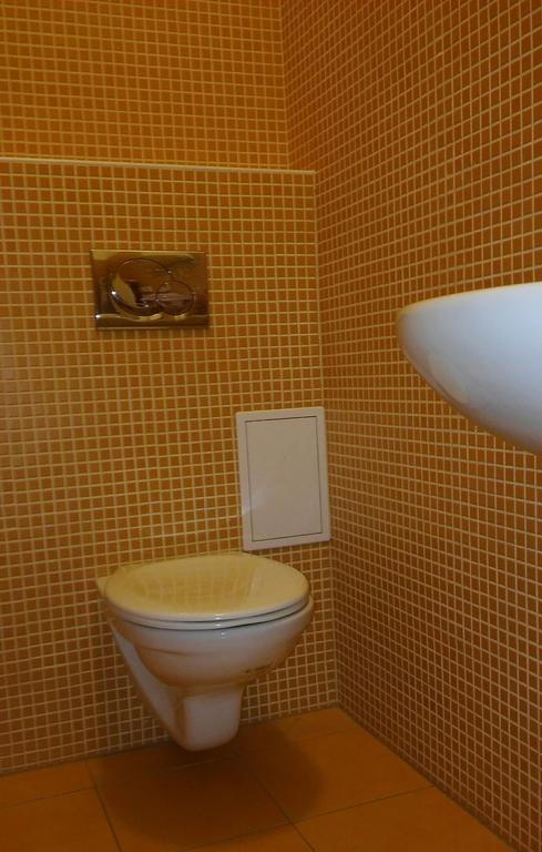 V Lesicku 8 Apartment *